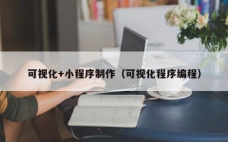 枣庄可视化+小程序制作（可视化程序编程）